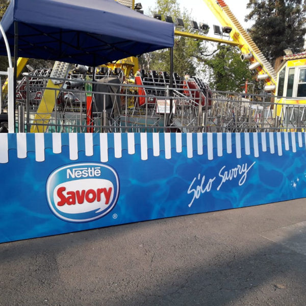imprenta_savory_2